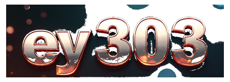 ey 303 logo